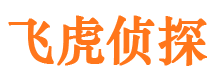 金平外遇出轨调查取证